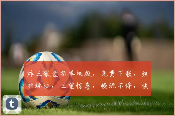 炸三张金花单机版，免费下载，经典玩法，三重惊喜，畅玩不停，快来体验