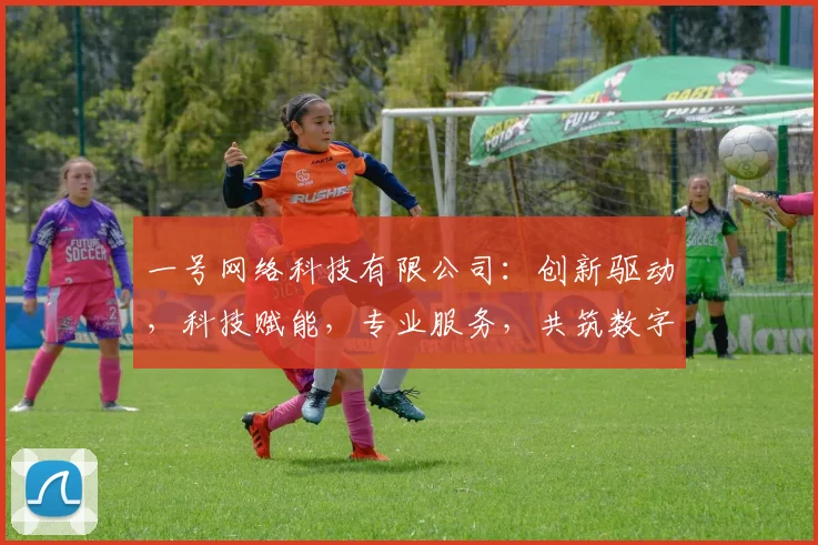 一号网络科技有限公司：创新驱动，科技赋能，专业服务，共筑数字未来，成就企业辉煌。