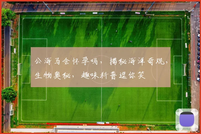 公海马会怀孕吗，揭秘海洋奇观，生物奥秘，趣味科普逗你笑
